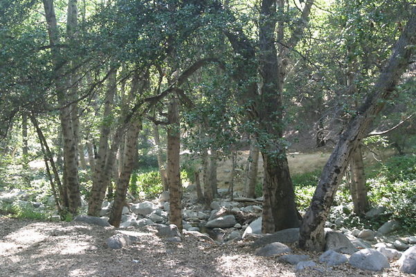 IMG 4455