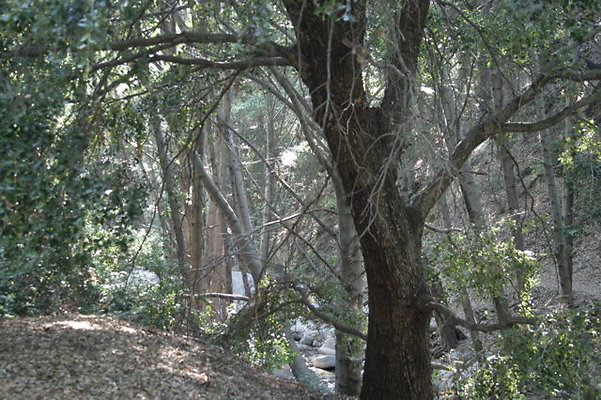 IMG 4466