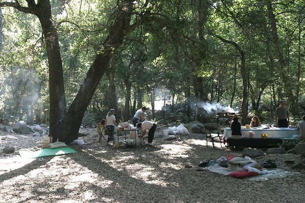 IMG 4489