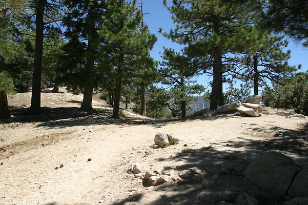 IMG 2510