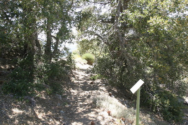IMG 2575