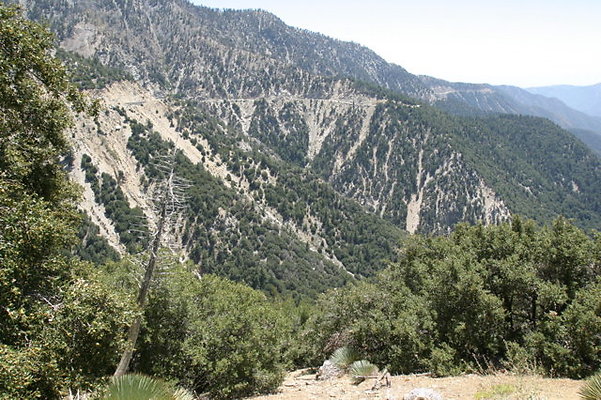 IMG 2569