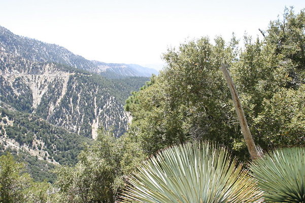 IMG 2578
