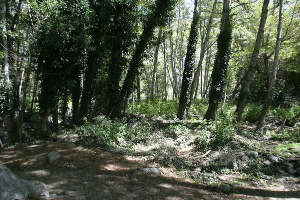IMG 2785