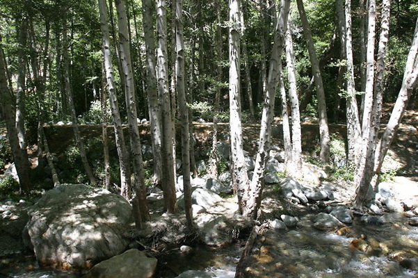 IMG 2743