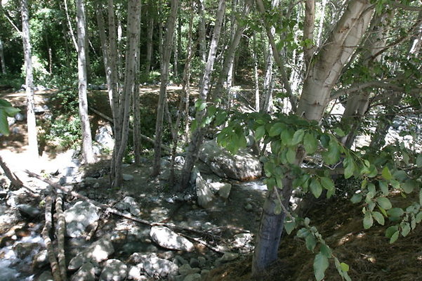 IMG 2738