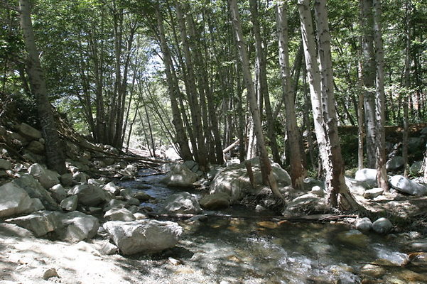 IMG 2749