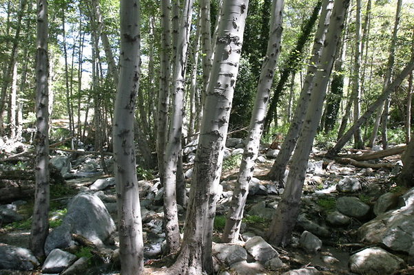 IMG 2783