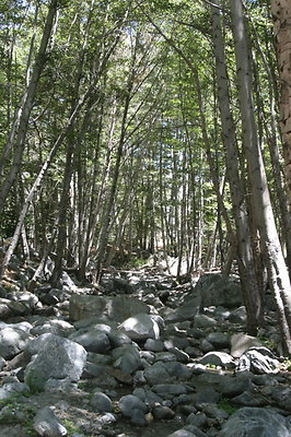 IMG 2753