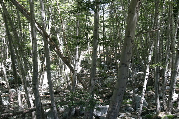 IMG 2780