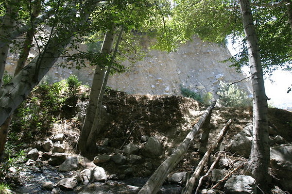 IMG 2787
