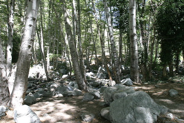 IMG 2784