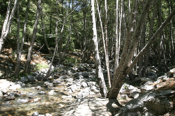 IMG 2747