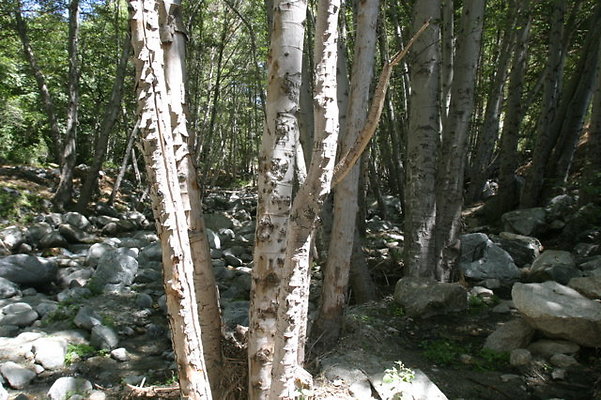 IMG 2748