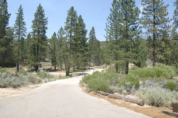 IMG 4373