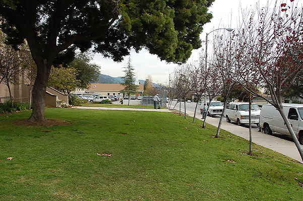 DSC 0194