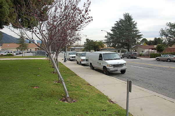 DSC 0196