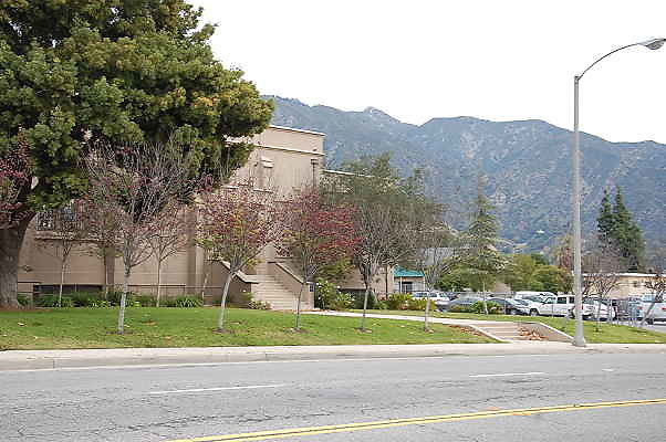 DSC 0035