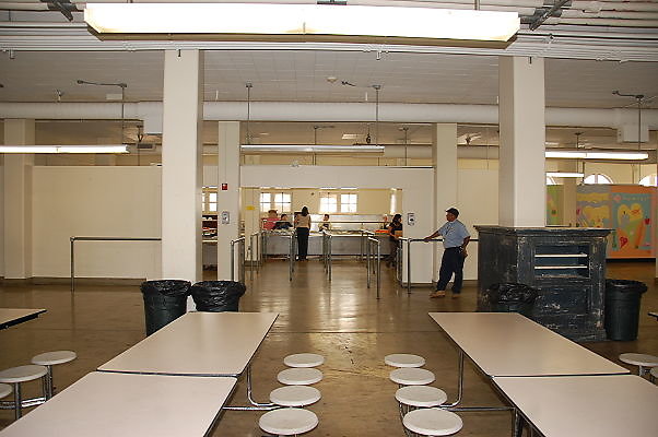 DSC 0042