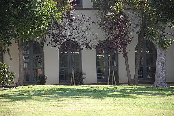 DSC 0093