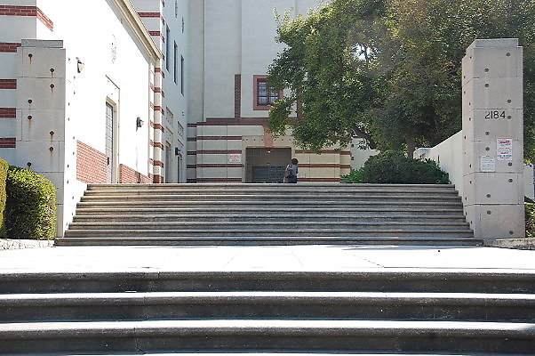 DSC 0013