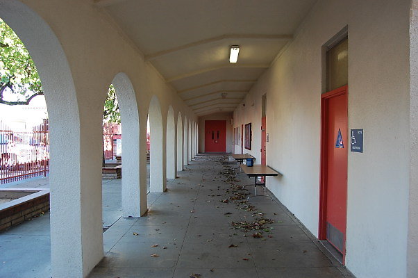 DSC 0408