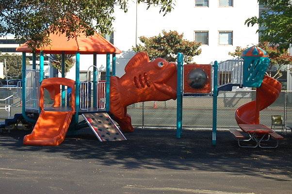 DSC 0412