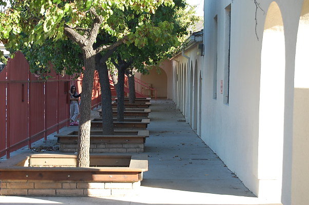 DSC 0407