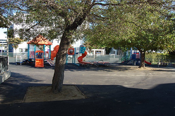 DSC 0411