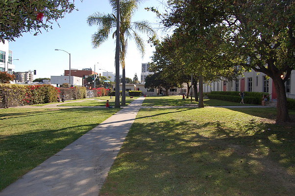 DSC 0416