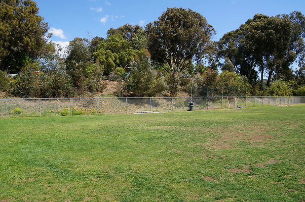 DSC01435