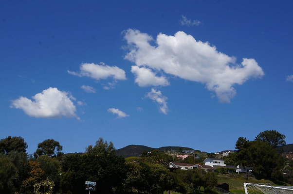 DSC01456