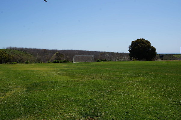 DSC01440