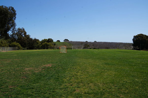 DSC01437