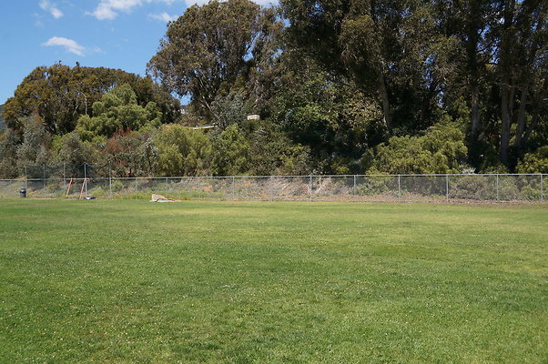 DSC01447