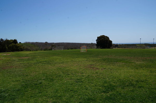 DSC01444a