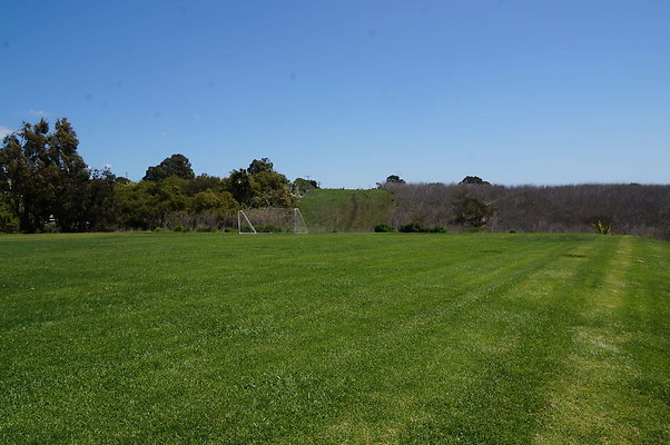 DSC01455