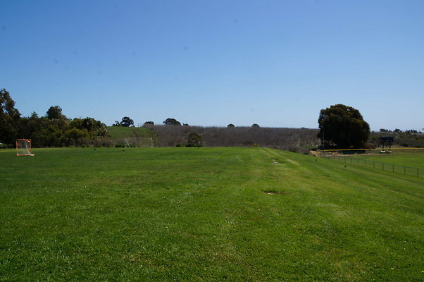 DSC01452a