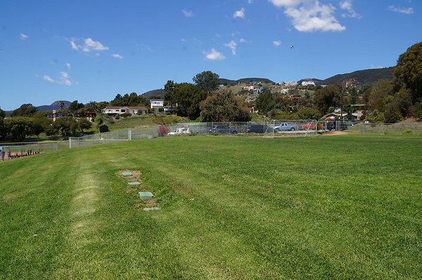 DSC01453