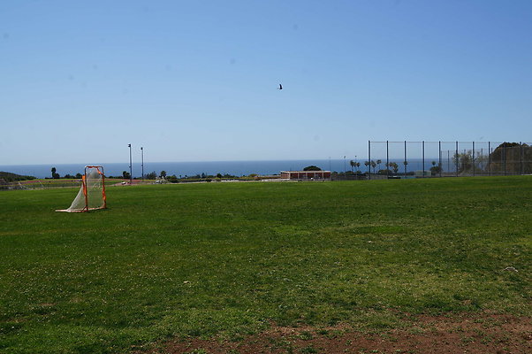 DSC01441