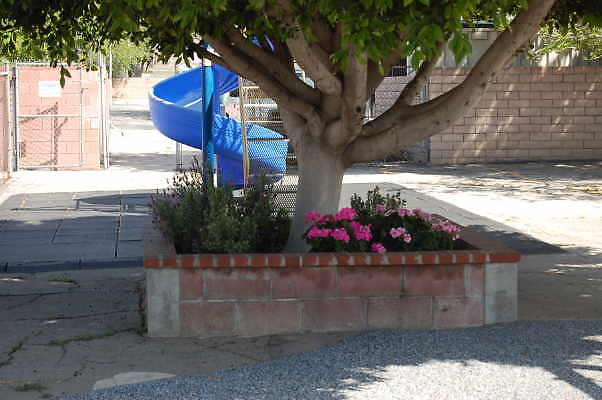 DSC 0143