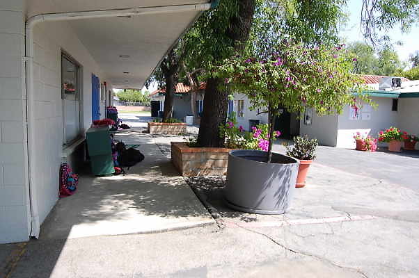DSC 0165