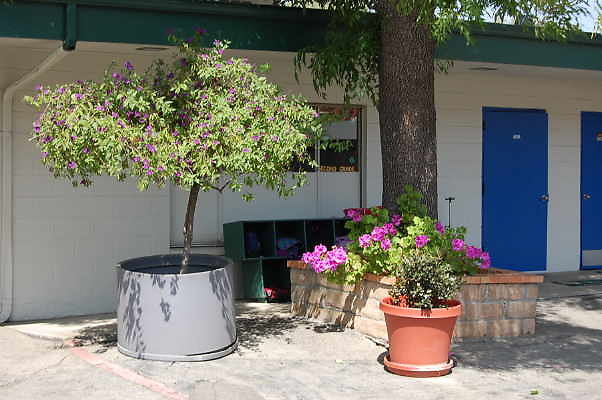 DSC 0175