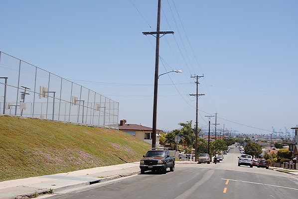 DSC 0245