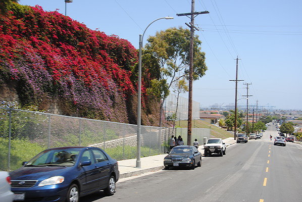 DSC 0243
