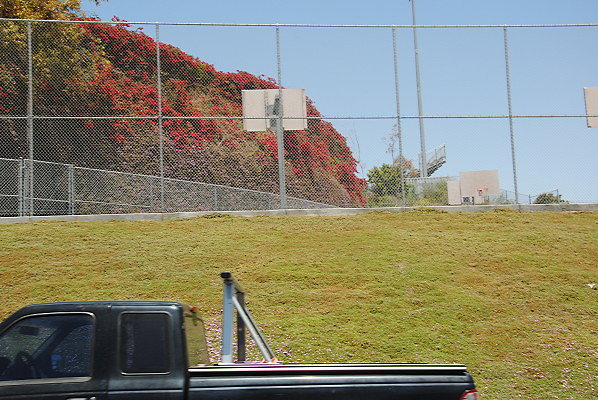 DSC 0246
