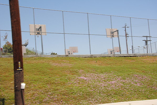 DSC 0247