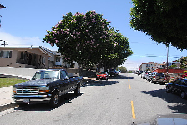 DSC 0219