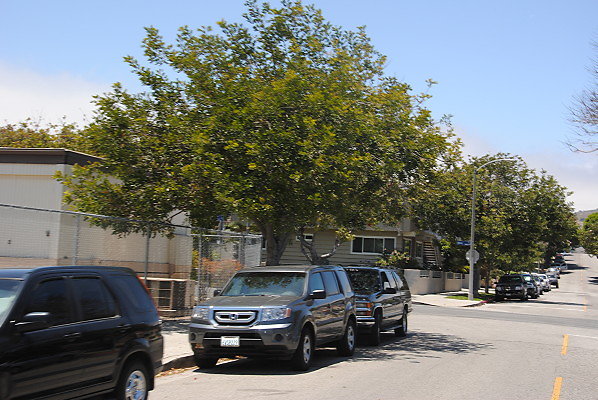 DSC 0288