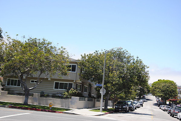 DSC 0289